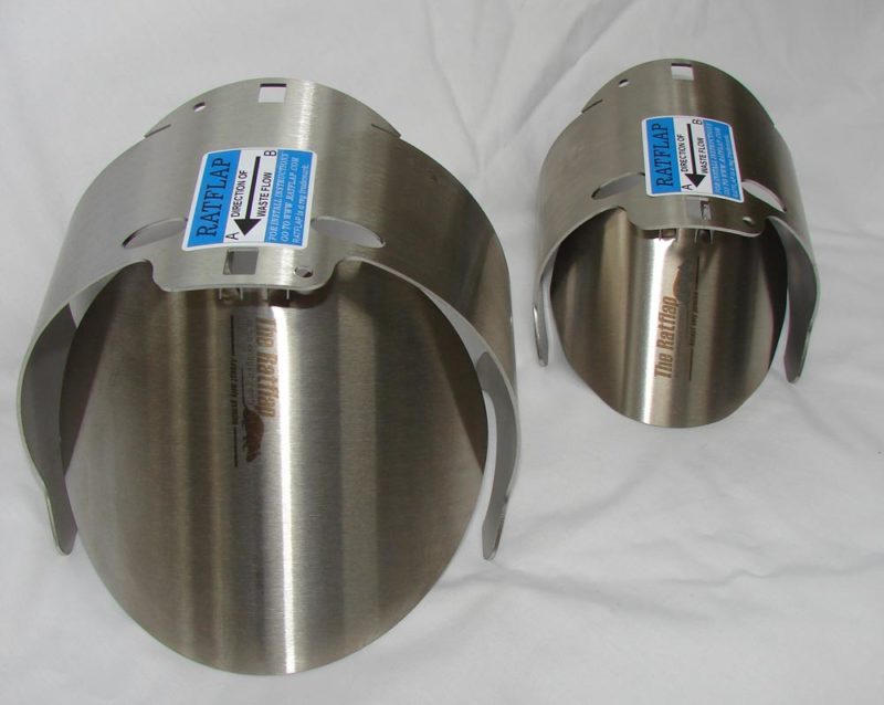 All-Brite Services – Rat flap vermin Pest control Rat Detection - All ...